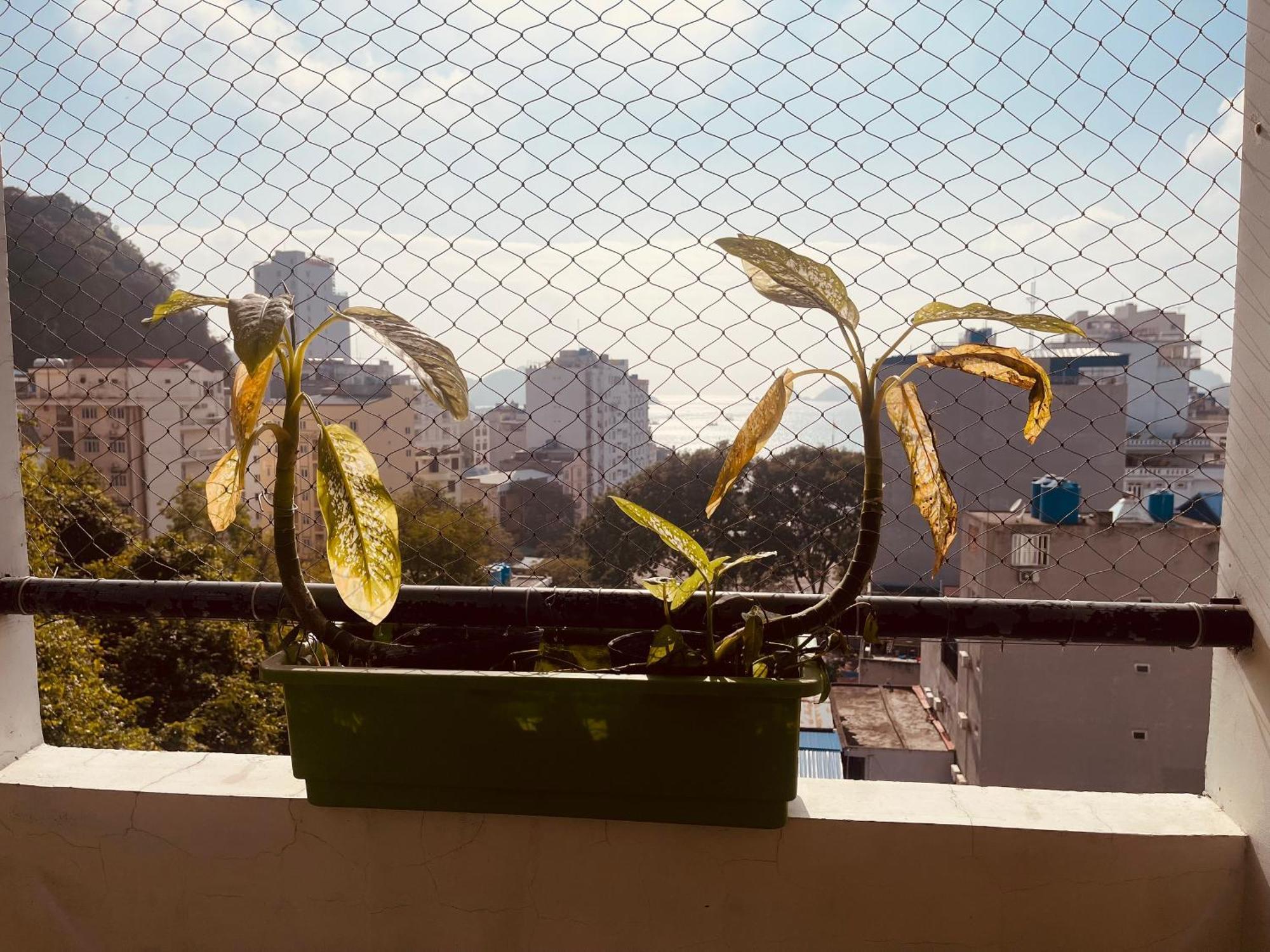 Catba Sky View Hotel Dong Khe Sau Εξωτερικό φωτογραφία